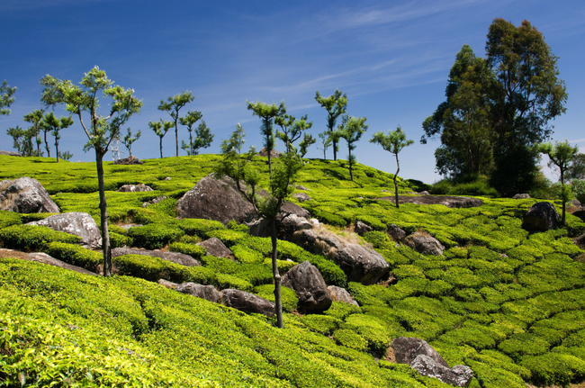 Photo of Coonoor, Tamil Nadu, India by Gunjan Upreti