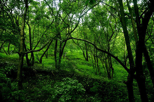 Photo of 11 Epic Ramayana Destinations You Can Actually Visit In Real Life by Gunjan Upreti