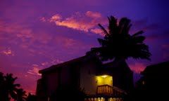 Photo of Candolim, Goa, India by Gunjan Upreti