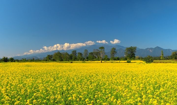 Photo of 7 Unexplored Places in India You Need To Add To Your Travel Bucket List Right Now 5/18 by Gunjan Upreti