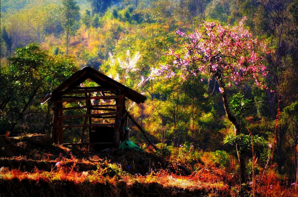 Photo of Can You Get Through These Nagaland Pictures Without Wanting To Plan A Trip Right Now? 4/15 by Gunjan Upreti