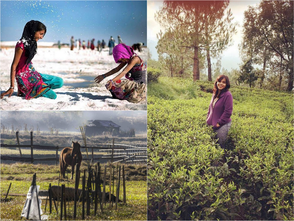 Photo of 10 Indian Instagrammers To Follow When You Need Intense Travel Vibes 8/20 by Gunjan Upreti