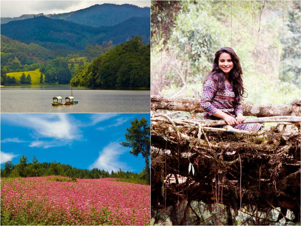 Photo of 10 Indian Instagrammers To Follow When You Need Intense Travel Vibes 14/20 by Gunjan Upreti