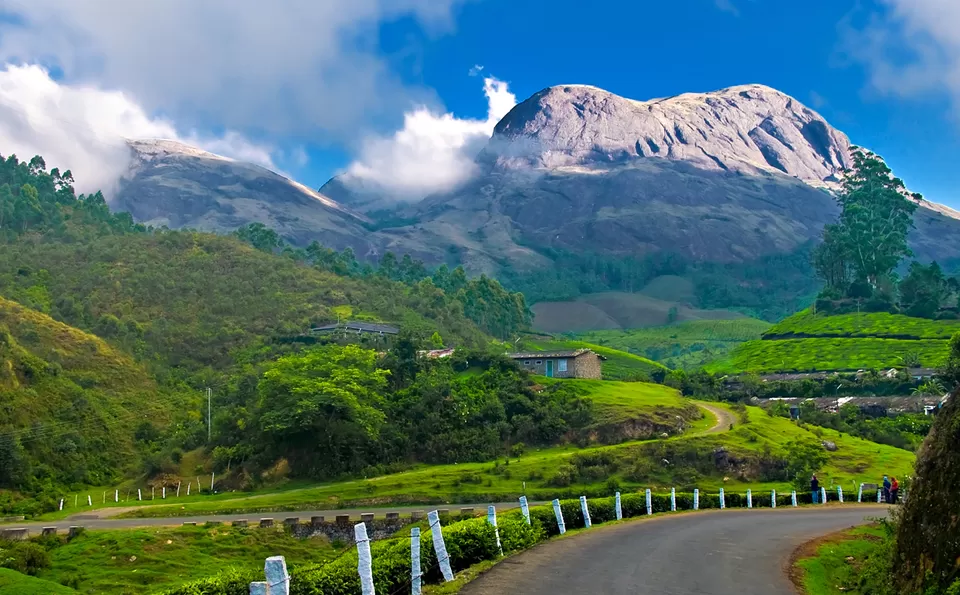 Photo of Munnar, Kerala, India by Gunjan Upreti