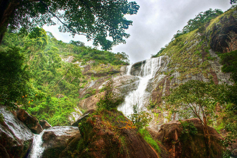 Photo of This Is Why Thenmala Eco Tourism Should Be on Every Responsible Traveller's Bucket List 7/8 by Gunjan Upreti