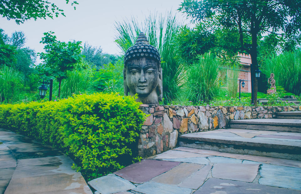 Photo of This Hidden Paradise in Jaipur Is What Your Soul Needs Right Now & It’s Only A Few Hours From Delhi. by Gunjan Upreti