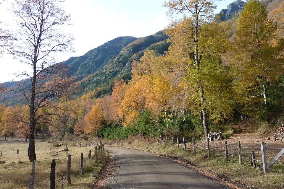 Photo of Pucón, Chile by Gunjan Upreti