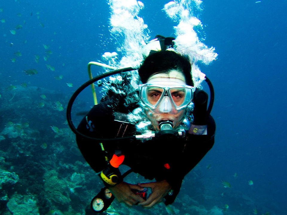 Photo of Everything You Need To Know About Scuba Diving In Goa 2/2 by Gunjan Upreti