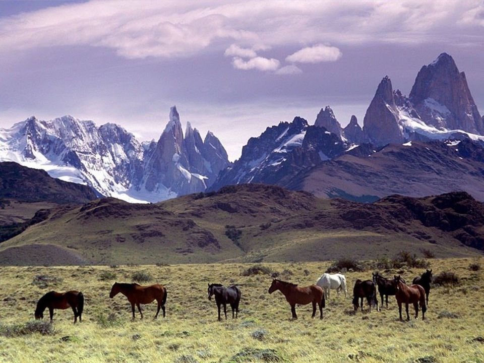 Photo of 8 Spectacular Destinations Everyone In Their 40s Should Visit Right Now! by Gunjan Upreti