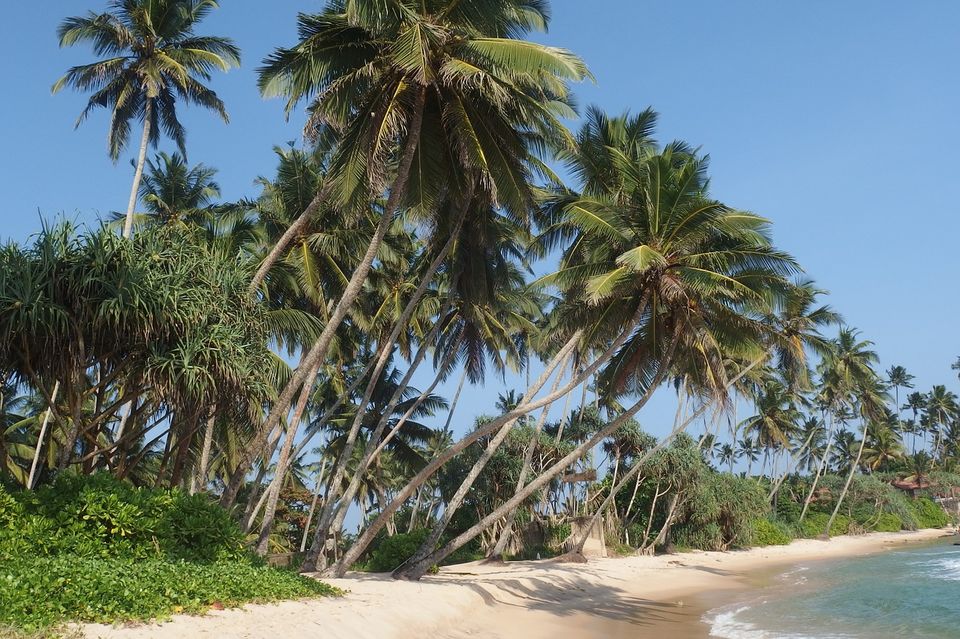 Photo of Dikwella, Southern Province, Sri Lanka by Gunjan Upreti