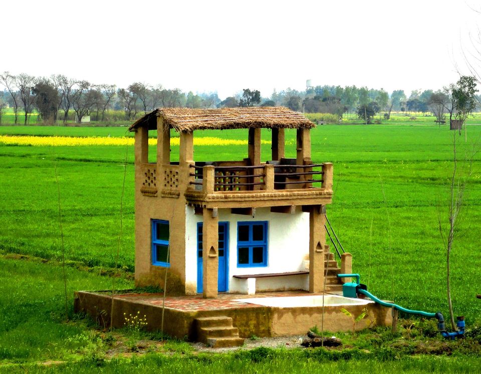 Photo of Saidowal, Punjab, India by Gunjan Upreti