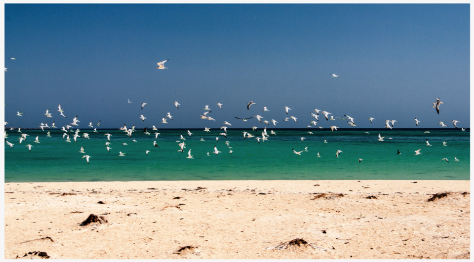 Photo of Eritrea by Gunjan Upreti