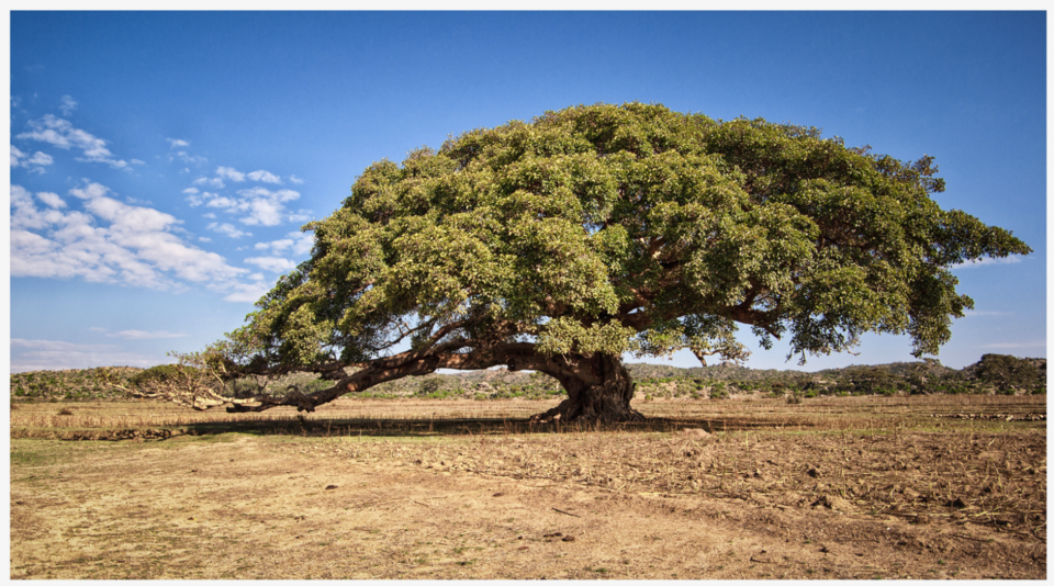 Photo of Eritrea by Gunjan Upreti