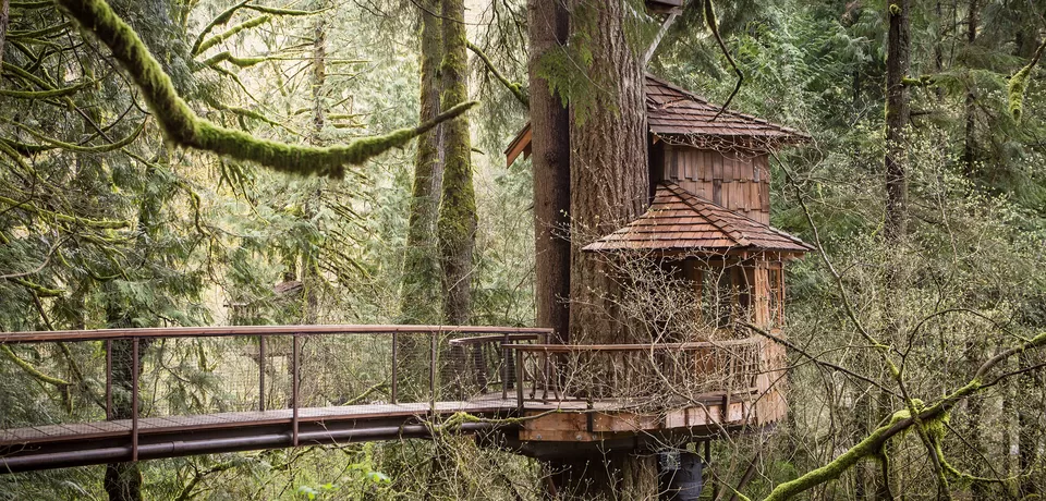 Photo of 8 Amazing Tree Houses From Around The World That Are So Cool You'll Want To Stay Forever by Gunjan Upreti