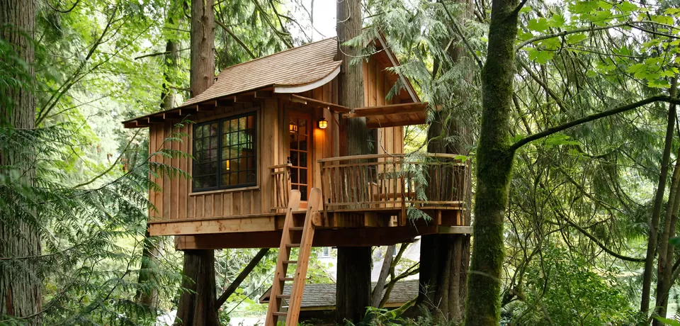 Photo of 8 Amazing Tree Houses From Around The World That Are So Cool You'll Want To Stay Forever by Gunjan Upreti