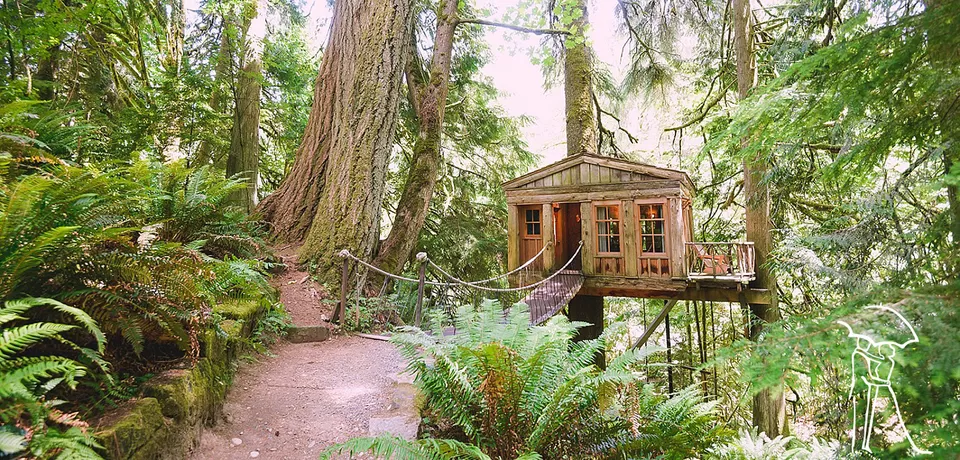 Photo of 8 Amazing Tree Houses From Around The World That Are So Cool You'll Want To Stay Forever by Gunjan Upreti