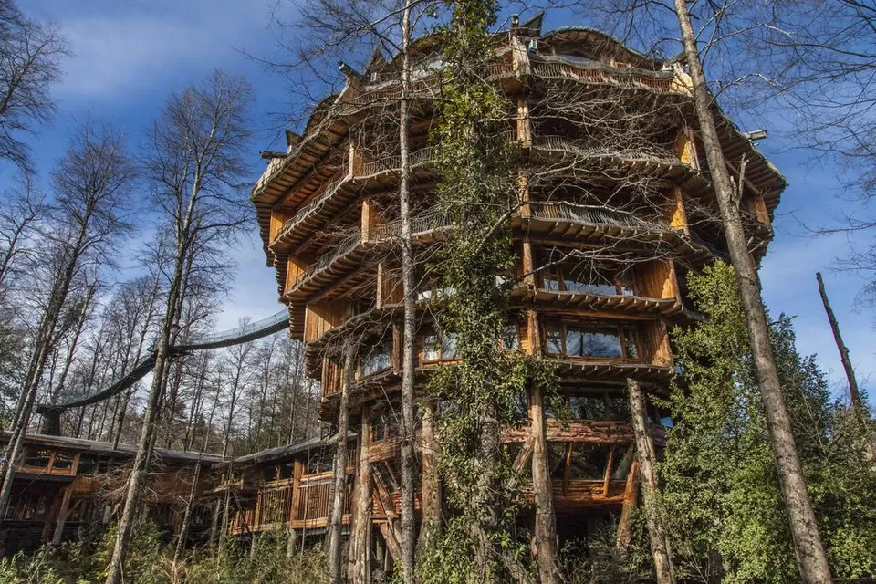 Photo of 8 Amazing Tree Houses From Around The World That Are So Cool You'll Want To Stay Forever by Gunjan Upreti