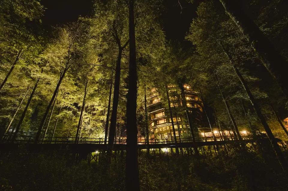Photo of 8 Amazing Tree Houses From Around The World That Are So Cool You'll Want To Stay Forever by Gunjan Upreti