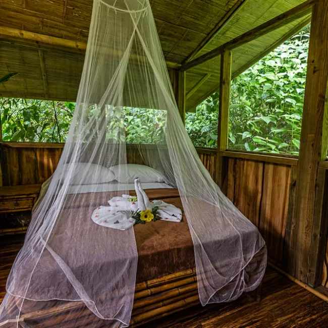 Photo of 8 Amazing Tree Houses From Around The World That Are So Cool You'll Want To Stay Forever by Gunjan Upreti