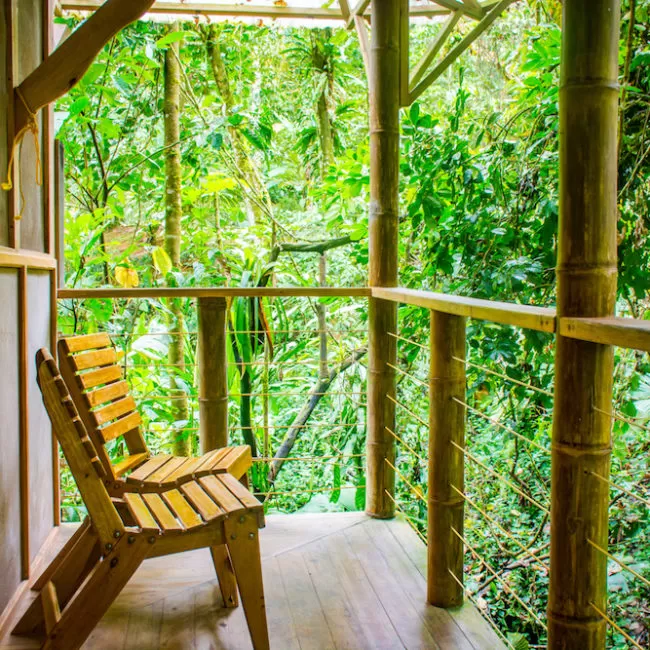 Photo of 8 Amazing Tree Houses From Around The World That Are So Cool You'll Want To Stay Forever by Gunjan Upreti