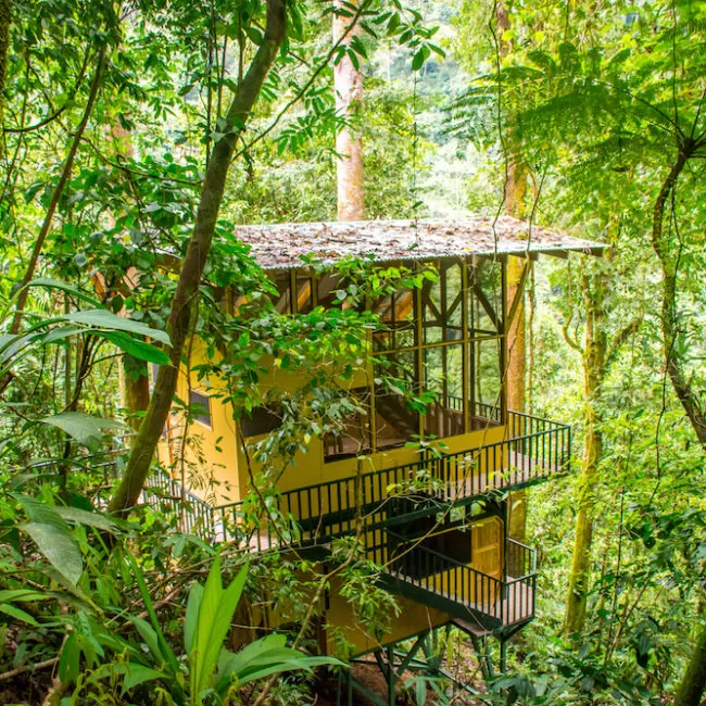 Photo of 8 Amazing Tree Houses From Around The World That Are So Cool You'll Want To Stay Forever by Gunjan Upreti