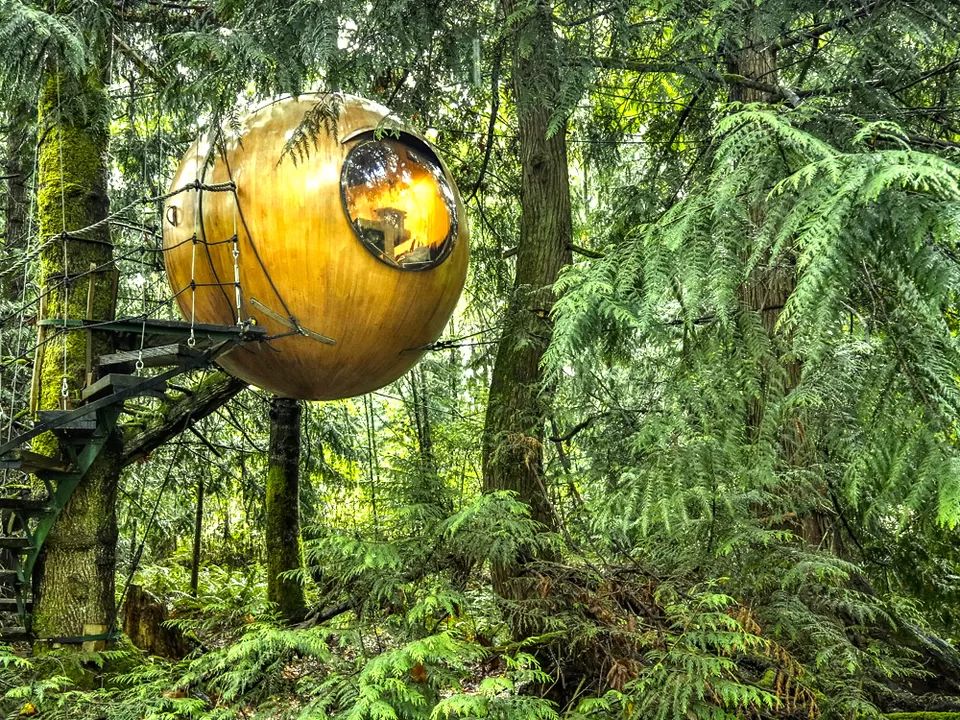 Photo of 8 Amazing Tree Houses From Around The World That Are So Cool You'll Want To Stay Forever by Gunjan Upreti
