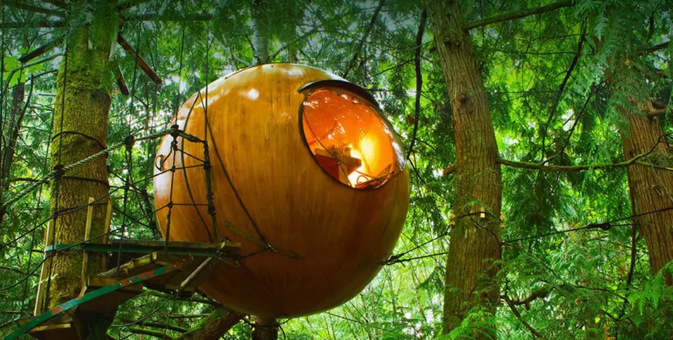 Photo of 8 Amazing Tree Houses From Around The World That Are So Cool You'll Want To Stay Forever by Gunjan Upreti