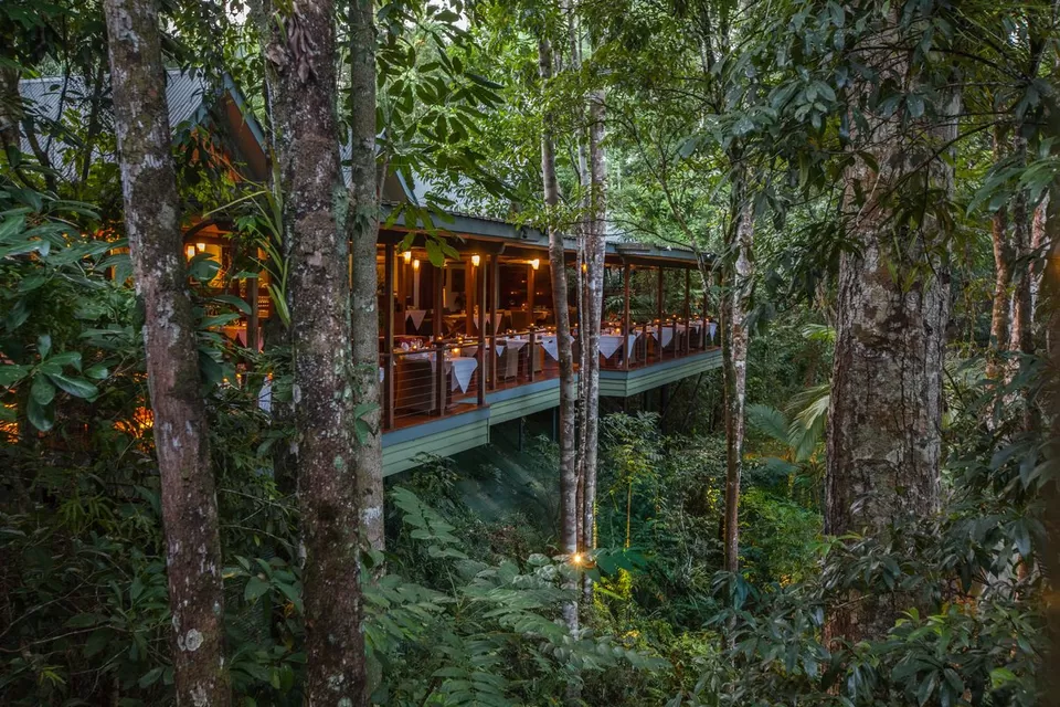 Photo of 8 Amazing Tree Houses From Around The World That Are So Cool You'll Want To Stay Forever by Gunjan Upreti