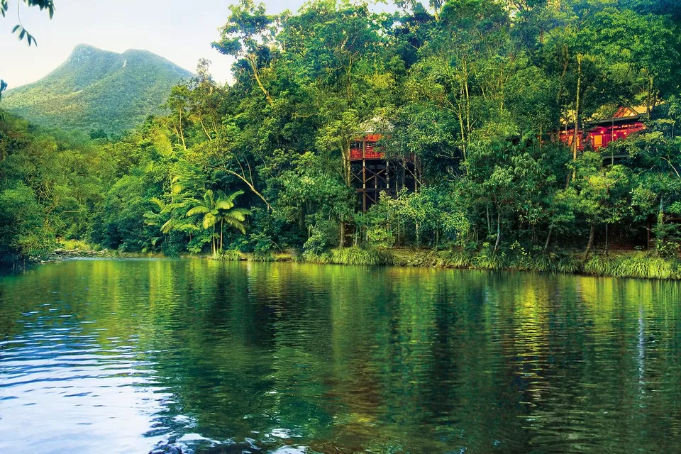 Photo of 8 Amazing Tree Houses From Around The World That Are So Cool You'll Want To Stay Forever by Gunjan Upreti
