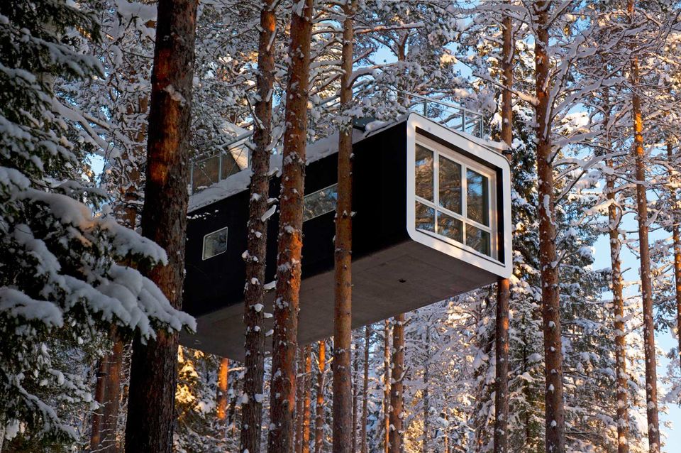 Photo of 8 Amazing Tree Houses From Around The World That Are So Cool You'll Want To Stay Forever by Gunjan Upreti
