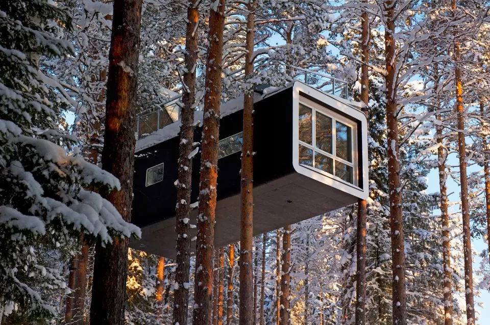 Photo of 8 Amazing Tree Houses From Around The World That Are So Cool You'll Want To Stay Forever by Gunjan Upreti