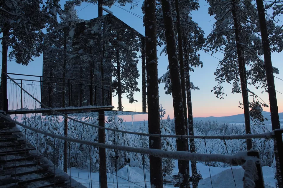 Photo of 8 Amazing Tree Houses From Around The World That Are So Cool You'll Want To Stay Forever by Gunjan Upreti