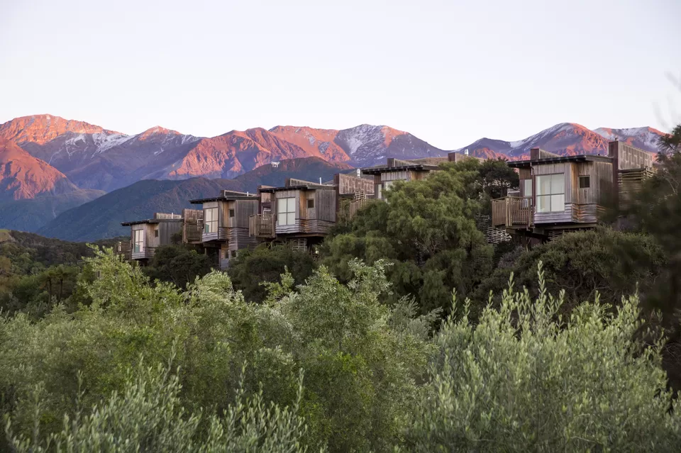 Photo of 8 Amazing Tree Houses From Around The World That Are So Cool You'll Want To Stay Forever by Gunjan Upreti