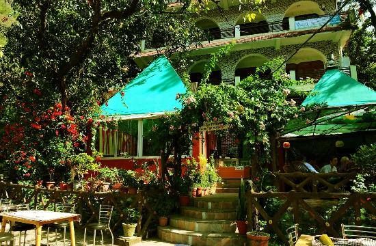 Photo of 7 New-Age Cafes in Rishikesh That Are Instagram-Famous for Being so Gorgeous by Gunjan Upreti