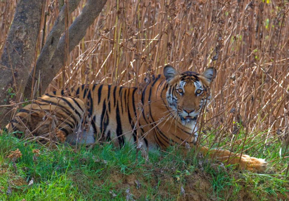 Photo of Periyar National Park, Kerala, India by Gunjan Upreti