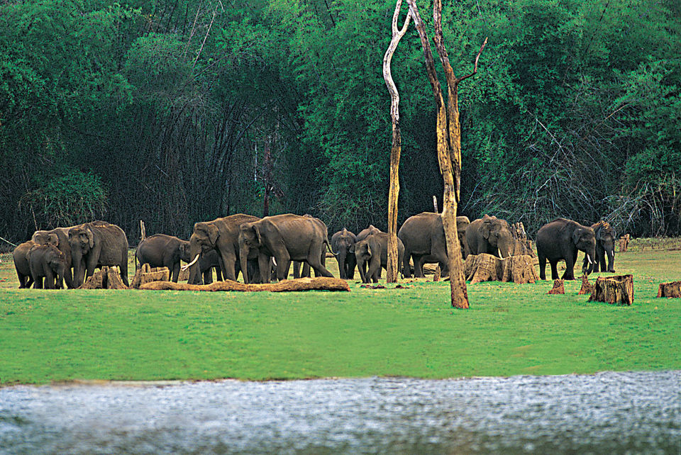 Photo of Monsoon Friendly Wildlife Reserves In India To Witness Nature In Its Full Bloom by Gunjan Upreti