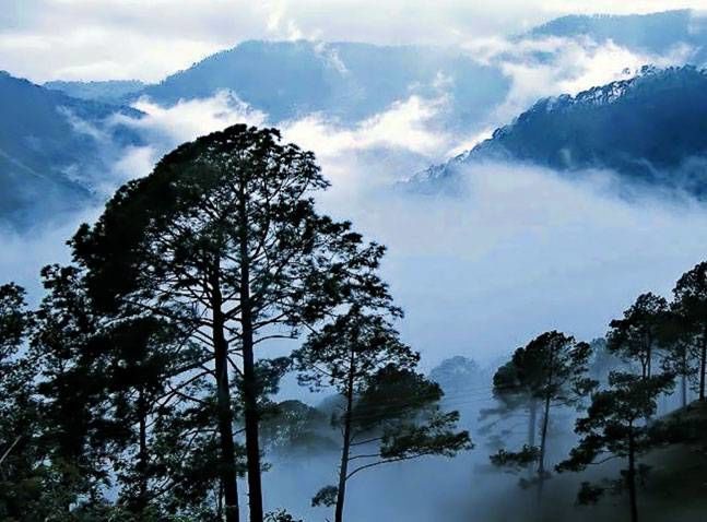 Photo of Lambasingi, Andhra Pradesh, India by Gunjan Upreti
