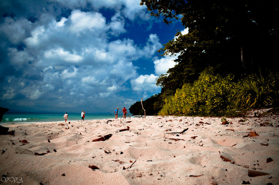 Photo of These Beaches In India Are so Stunning They Look like International Destinations 1/1 by Gunjan Upreti