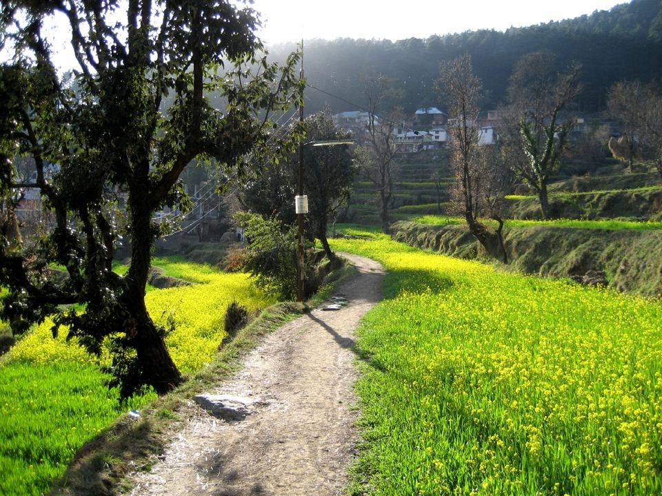 Photo of Dharamkot, Dharamshala, Himachal Pradesh, India by Gunjan Upreti