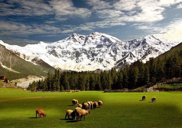 Photo of 9 Reasons Why Every Indian Should Visit Pakistan At Least Once In Their Lifetime 1/15 by Gunjan Upreti