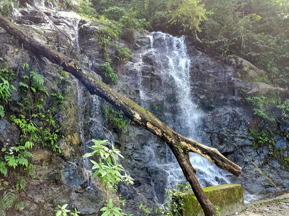 Photo of Amazing Trip by Areeb
