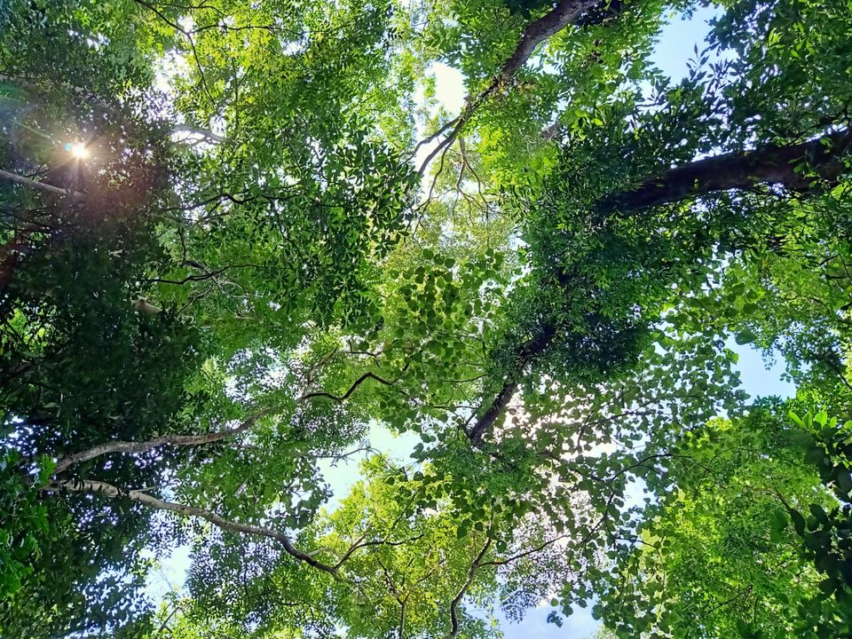 Photo of Amazing Trip by Areeb