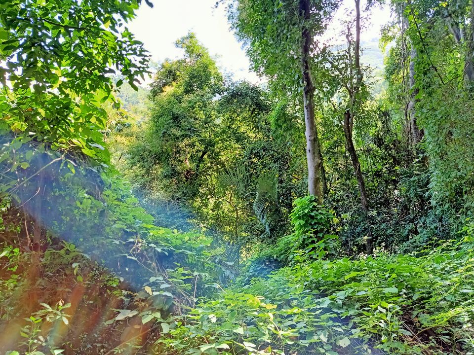 Photo of Amazing Trip by Areeb