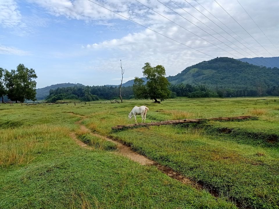 Photo of Amazing Trip by Areeb