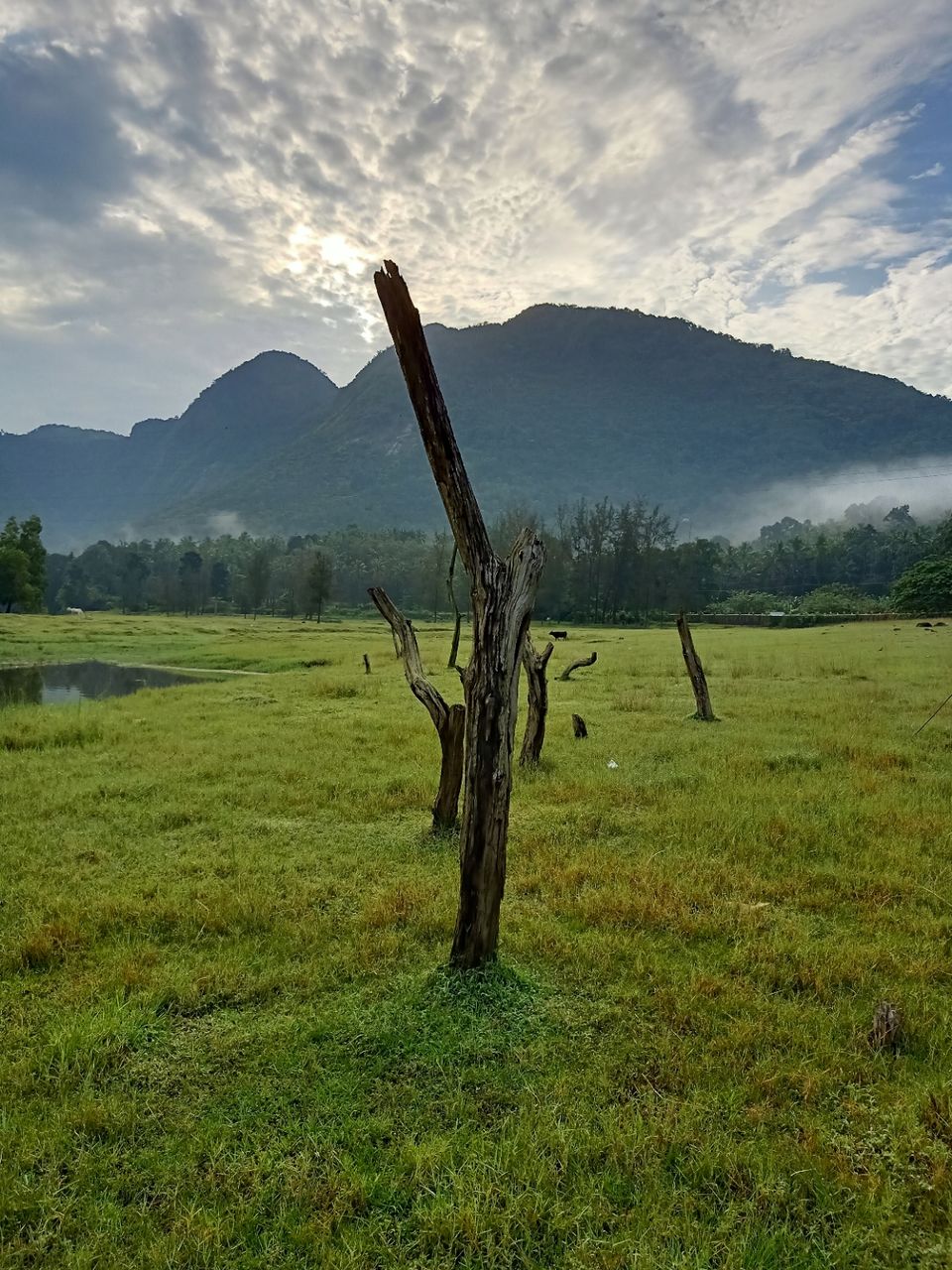 Photo of Amazing Trip by Areeb