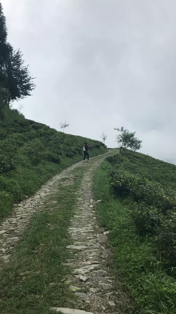 Photo of Unforgettable trip to Gangtok by Aneisha Kaushik