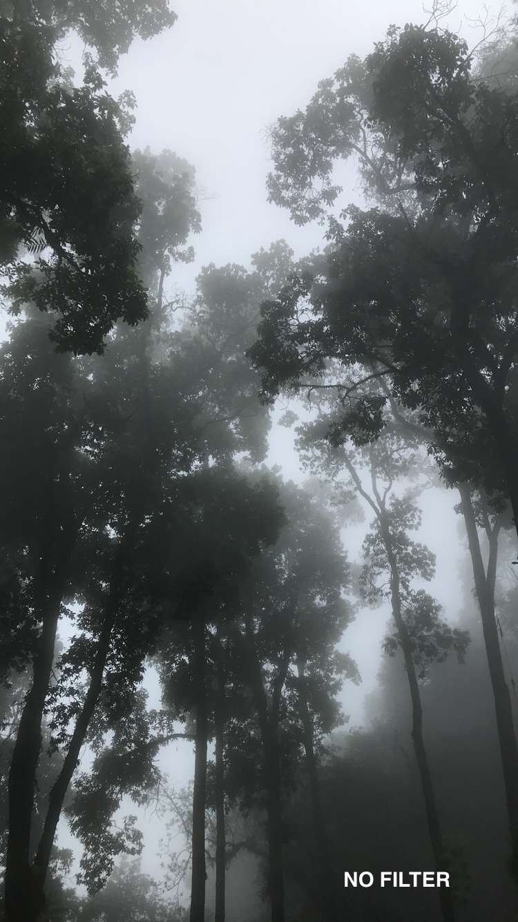 Photo of Unforgettable trip to Gangtok by Aneisha Kaushik