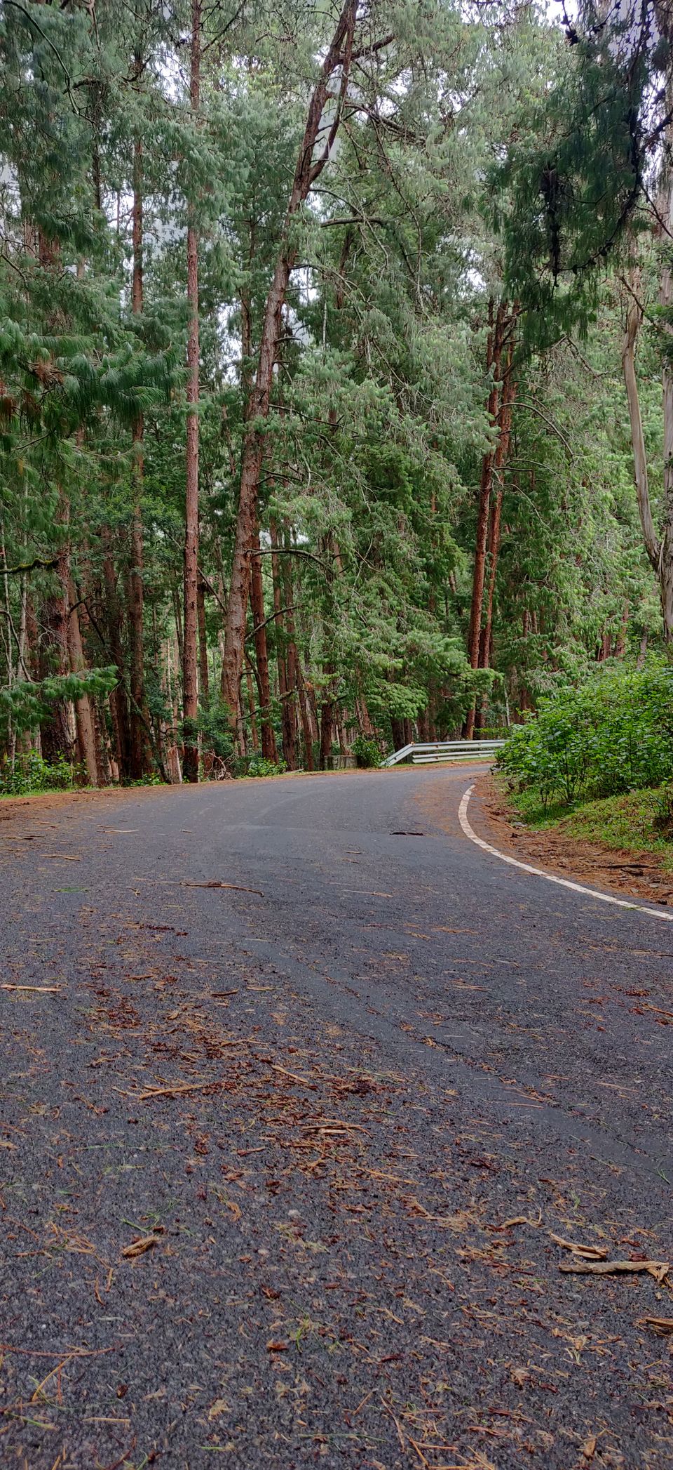 Photo of Kookal(Kodaikanal) - weekend getaway 3/17 by Subhankit Saha