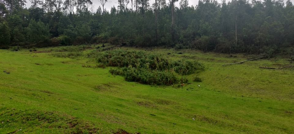 Photo of Kookal(Kodaikanal) - weekend getaway 10/17 by Subhankit Saha