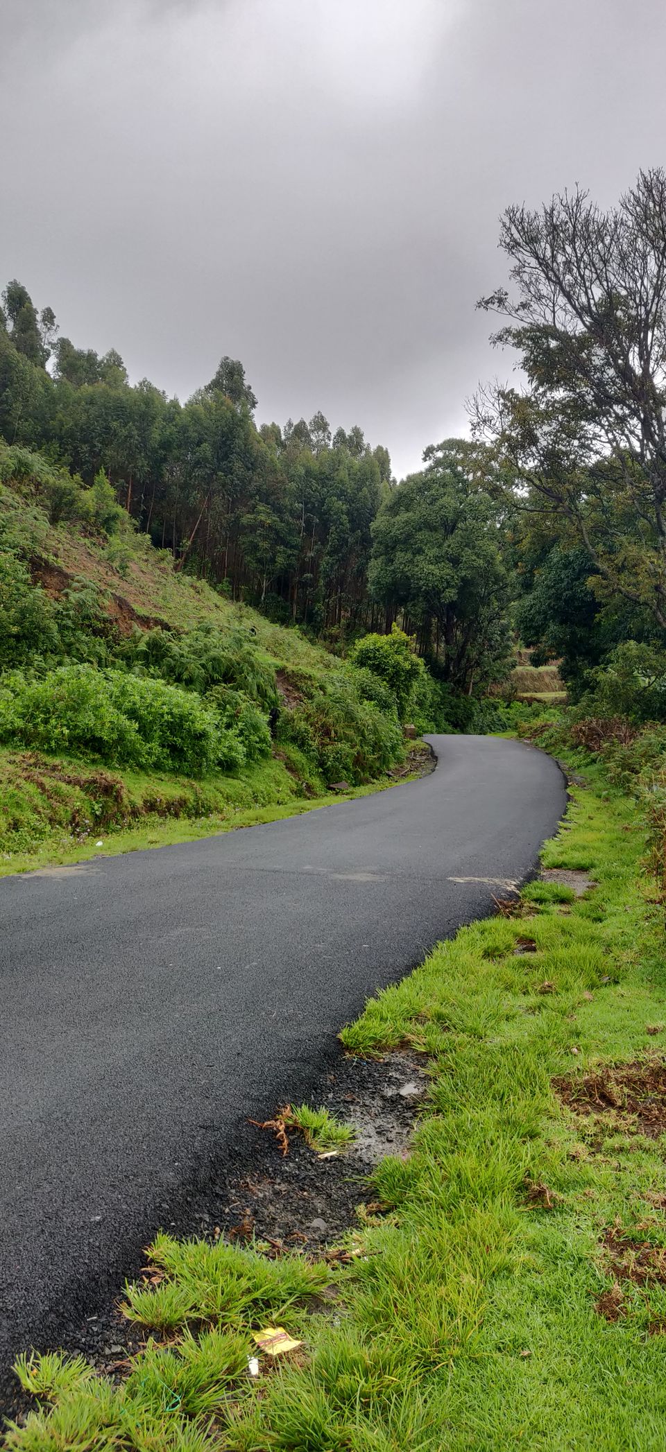 Photo of Kookal(Kodaikanal) - weekend getaway 17/17 by Subhankit Saha